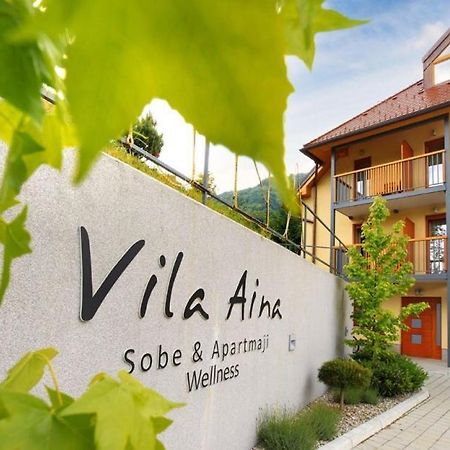Villa Aina Boutique Hotel Lasko Exterior photo